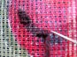 how to stitch penelope needlepoint canvas