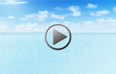 Play this video