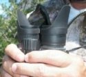 Binocular Eye Shield Use