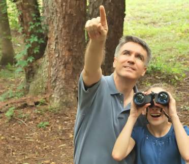 Using Eye Shields For Bird Watching