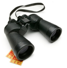 Eyeshields for binoculars Field Optics Research