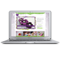 Easy to Use Features for Quilt Store Websites
