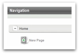 Unlimited Pages for your Website