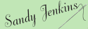 Sandy Jenkins Logo