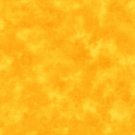 APL-13258-128 (Daffodil)