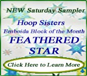 Hoop Sisters Feathered Star Block of the Month 2013