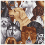 1449ttdog