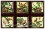 EQ 1647 Forest Secrets panel