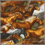 RK. 1682 Horses
