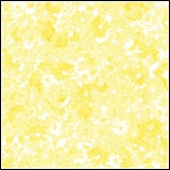 1695M Sum Breeze yellow flowers