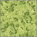1697M Sum Breeze green flowers