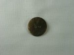 Nutmeg Shell Button, Large