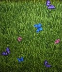 Butterflies in the Grass