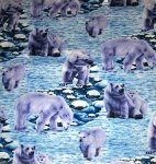 Polar Bears 