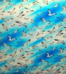 Sea Gulls 