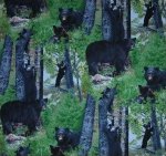 Black Bears
