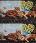 Cat Nap - Orange Cats