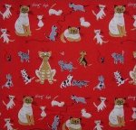 Tammi's Cats