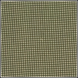 Dots in Black