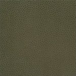 Mini Dot in Dark Grey 1001 70