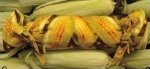 Corn Cocoon