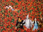 Follow the Yellow Brick Road  1649/25717-R