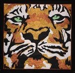 Rob Appell-Bengal Tiger