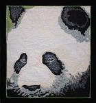 Rob Appell-Giant Panda