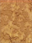Anthology Batik-Solid-ANTHOLOGY-BA626-BROWN