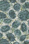 Troy Corporation-Pathways-TROY-1297-2-BLUE