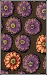 Kaffe Fassett Zinnia