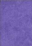 Dimples Gail Kessler Andover Fabrics-AND-1867-P15