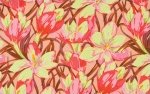 Farmington-Crocus-Martha Negley-Pink