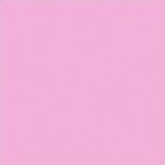 KONA solid- Carnation
