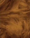 01147-22 *Atmosphere* Pumpkin