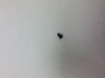 Screw, Singer 221 Featherweight Sewing Machine for Spool Pin