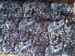Island Batik, dark blue background with lighter blue roosters design