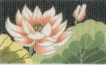 Lotus Flower