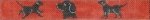 Black Lab on Red Dog Collar