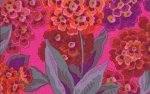 Phillip Jacobs - Primula PJ42 Magenta