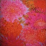 Phillip Jacobs - Japanese Chrysanthemum PJ42 Pink