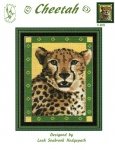 Cheetah