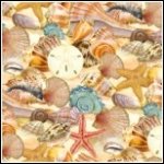 Seaside Rendezvous Shells