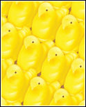 Peep Yellow 0538033B