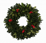 Green Holly Wreath