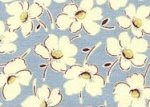 Stainless windflowers