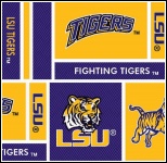 Louisiana State 097