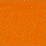 American Jane Pindot