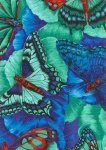 Butterfly Carnival 