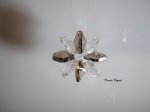 Satin Flower- CC Art 1055